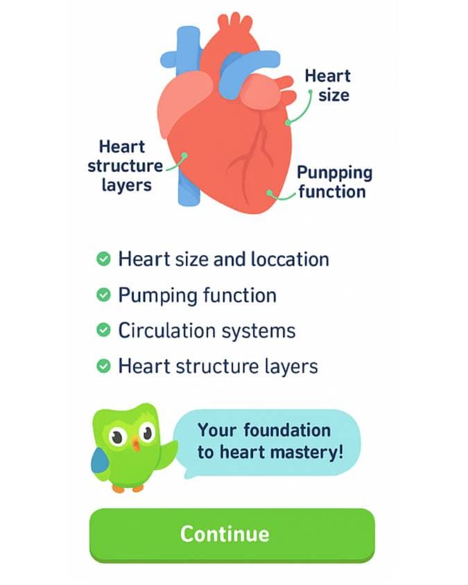 Interactive Learning Slides