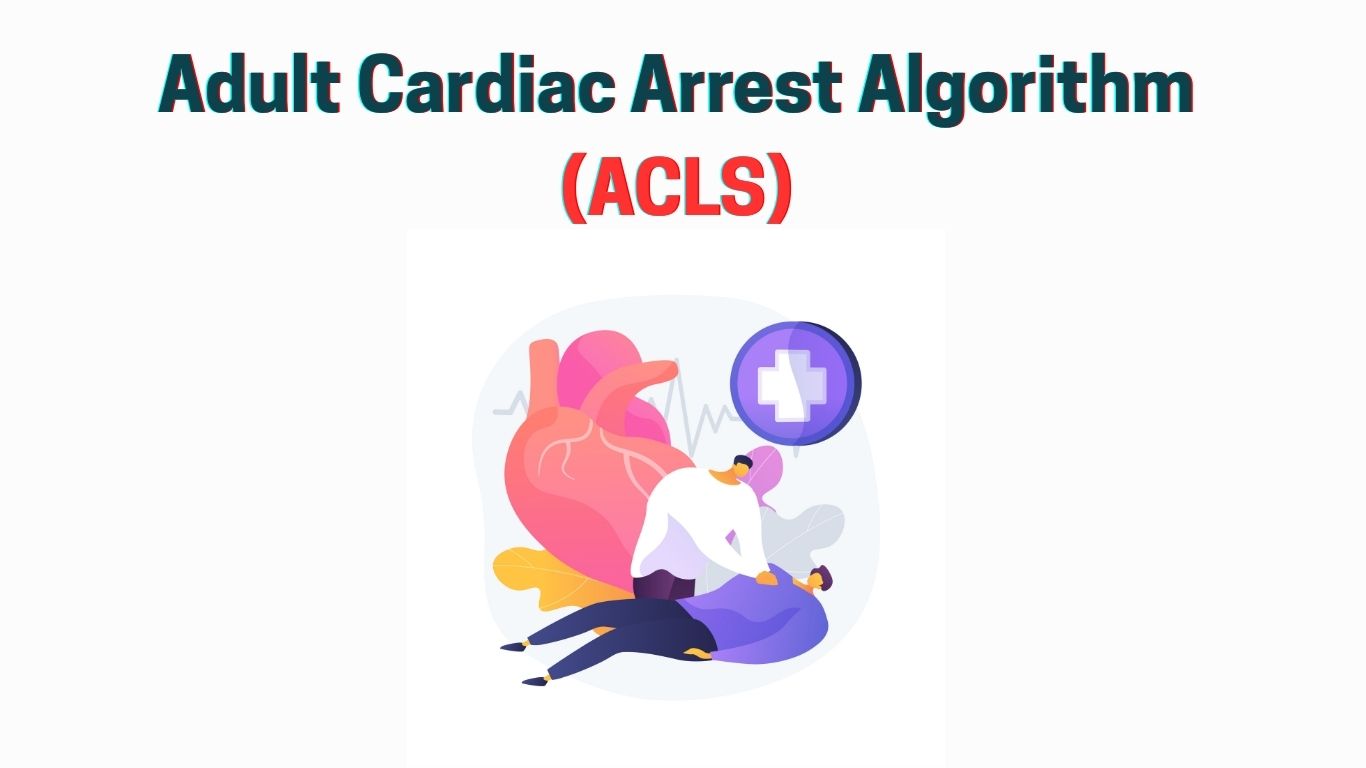Adult Cardiac Arrest Algorithm ‣ EcgKid
