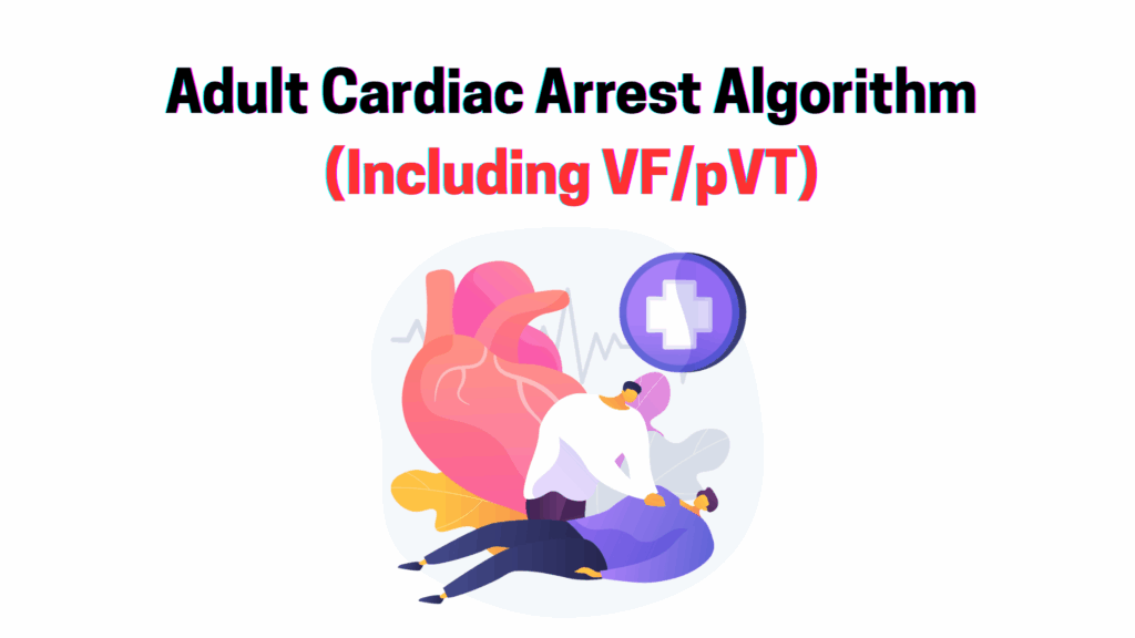 Adult Cardiac Arrest Algorithm (Including VF/pVT)